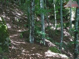 2020-06-12_gipfeltrail_hochschwarzwald_06