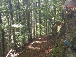 2020-06-12_gipfeltrail_hochschwarzwald_07