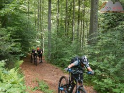 2020-06-21_dav_kandel_18