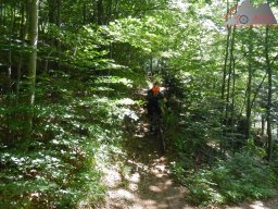 2020-06-21_dav_kandel_33