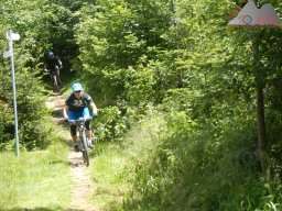 2020-06-21_dav_kandel_46