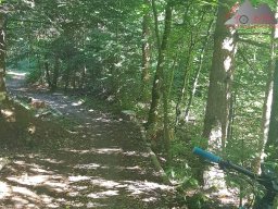 2020-08-06_sthlingen_03