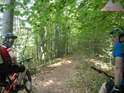 2021-06-12_dav_rheintrails_07