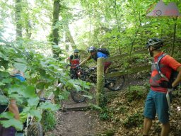 2021-06-12_dav_rheintrails_21