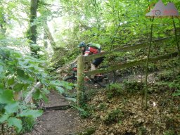 2021-06-12_dav_rheintrails_27