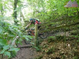 2021-06-12_dav_rheintrails_28