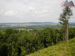 2021-06-12_dav_rheintrails_58