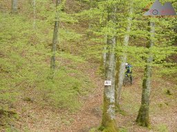 2022-05-07_dav_donautal_063