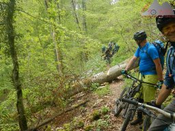 2022-05-07_dav_donautal_072