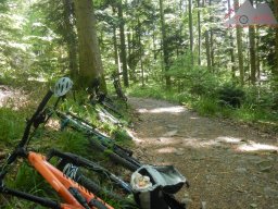 2022-05-14_dav_kandel_41