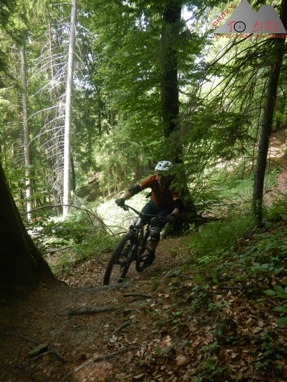 DAV-Trailtour: Von Achdorf über Eichberg und Buchberg - 21.05.2022