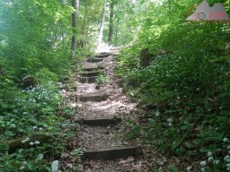 2022-05-21_dav_eichberg_und_buchberg_22