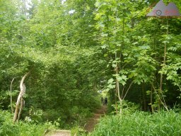 2022-05-21_dav_eichberg_und_buchberg_34