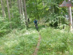 2022-05-21_dav_eichberg_und_buchberg_45