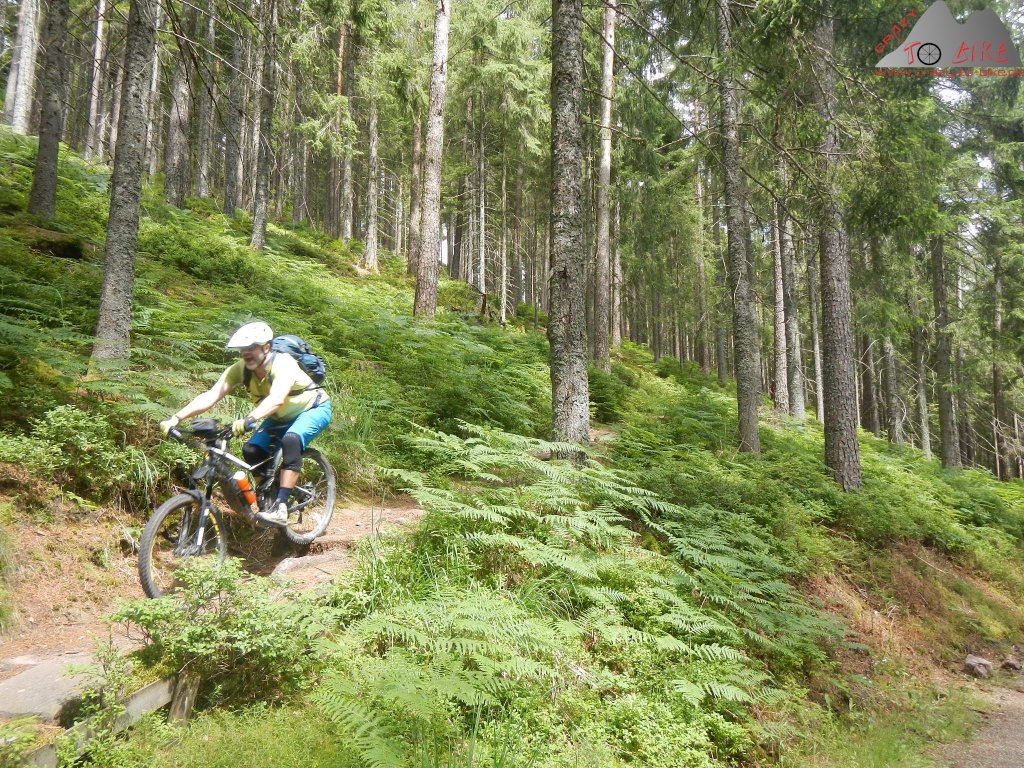 DAV-Trailtour: Auf den Supertrails um Baiersbronn - 25.06.2022