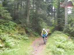 2022-06-25_dav_baiersbronn_006