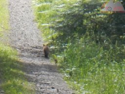 2022-06-25_dav_baiersbronn_081