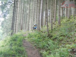 2022-06-25_dav_baiersbronn_089