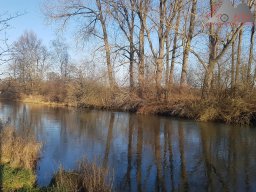 2023-01-01_dornsberg_aachuferweg_07