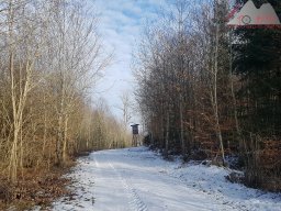 2023-02-11_hegaublick_postweg_napoleoneck_03
