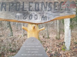 2023-02-11_hegaublick_postweg_napoleoneck_06