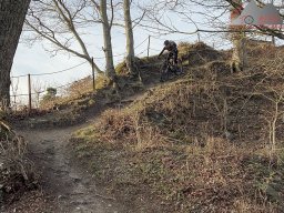 Hohenhewen und Hohenstoffeln (22.03.2023)