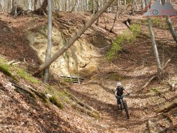 2023-04-22_dav_hegauberge_027