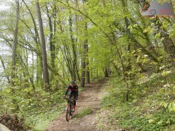 2023-04-22_dav_hegauberge_067