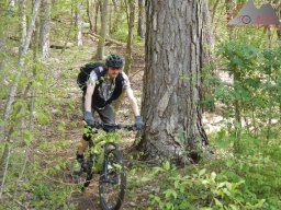 2023-04-22_dav_hegauberge_075