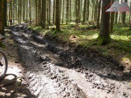 2023-04-22_dav_hegauberge_082