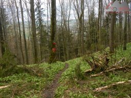 2023-04-22_dav_hegauberge_094