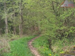 2023-04-29_trailbiken_sipplinger_berg_02