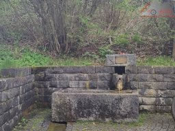 2023-04-29_trailbiken_sipplinger_berg_03