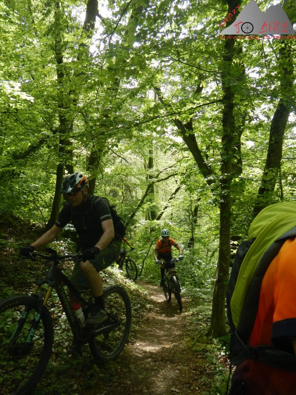 phoca thumb l 2024 05 04 hochrheintrails hohentengen 58