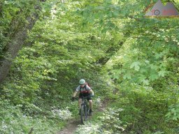 2024-05-04_hochrheintrails_hohentengen_34