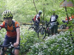 2024-05-04_hochrheintrails_hohentengen_35