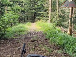 2024-07-13_muenstertal_08