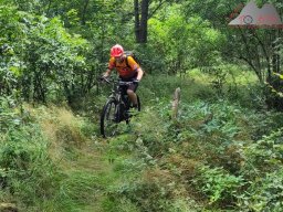 2024-07-13_muenstertal_12