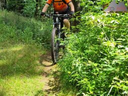 2024-07-13_muenstertal_29