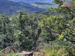 2024-07-13_muenstertal_30