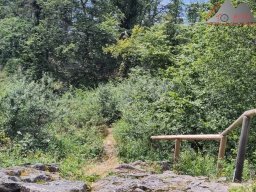 2024-07-13_muenstertal_37