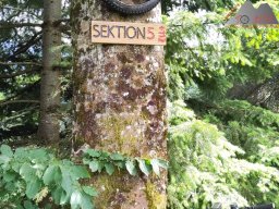 2024-07-13_muenstertal_49