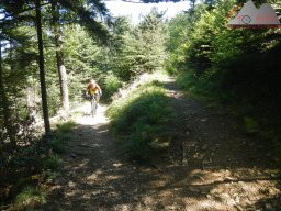 2024-07-14_schauinsland_badish-moonrising_canadian_02