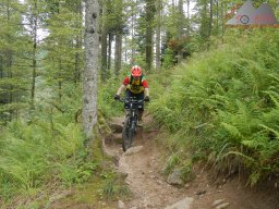 2024-07-14_schauinsland_badish-moonrising_canadian_11