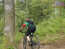 2024-07-14_schauinsland_badish-moonrising_canadian_14