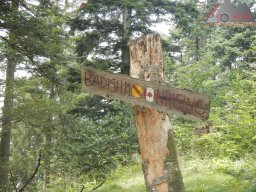 2024-07-14_schauinsland_badish-moonrising_canadian_19