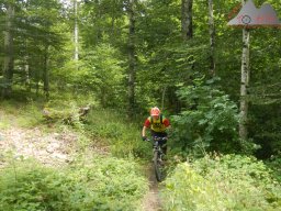 2024-07-14_schauinsland_badish-moonrising_canadian_27