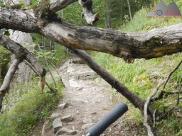 2024-07-14_schauinsland_badish-moonrising_canadian_33