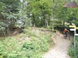 2024-07-14_schauinsland_badish-moonrising_canadian_40