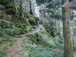 2024-09-01_dav_schonach_zum_yachter_siebenfelsen_06